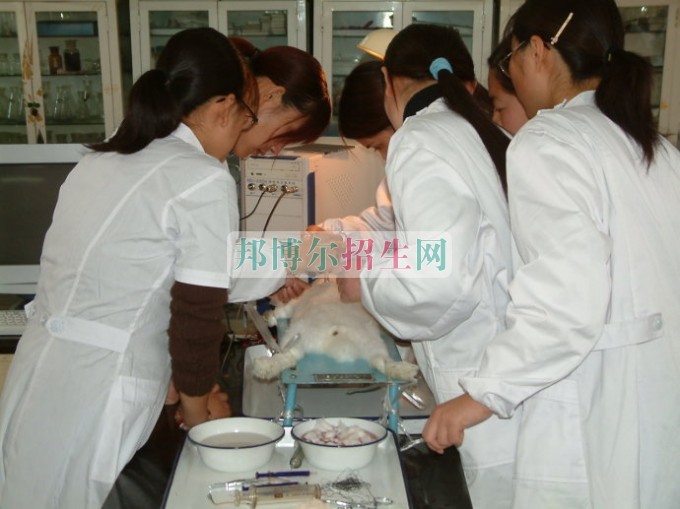 高级护理怎么样报名