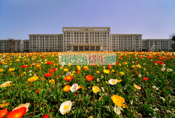 高考落榜学什么专业好