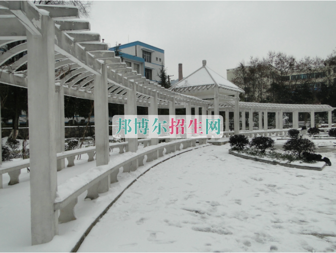 成都什么软件技术学校好