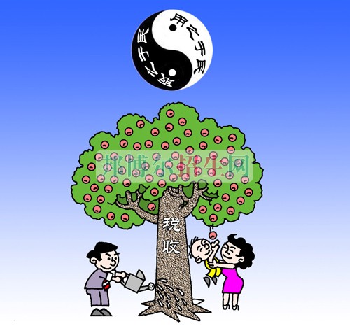 成都哪些大专有税务
