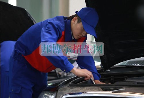 职业学校是干什么的