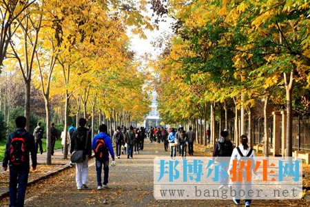 第一批志愿可以报几个