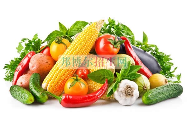 成都有哪些烹饪工艺与营养学校