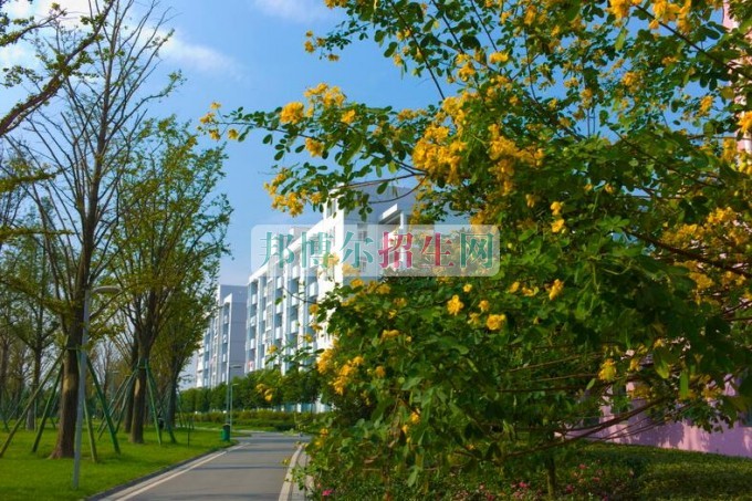 成都哪些大专学校的电子信息工程技术好