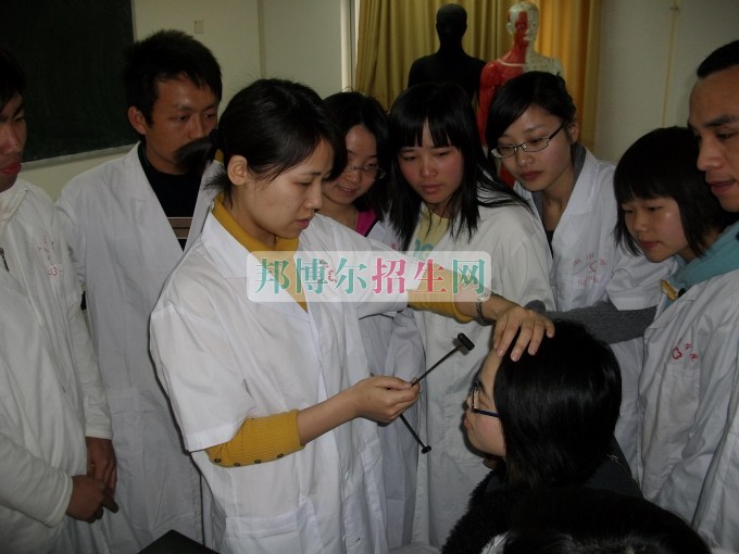 成都哪里有中医学学校