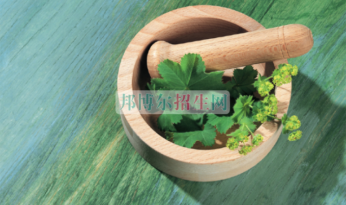 成都哪些中医学学校好