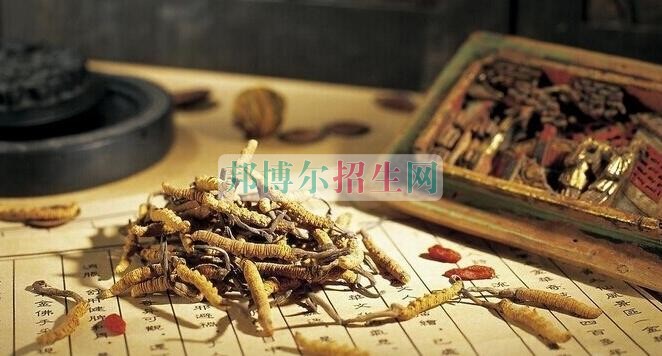 成都有哪些中医学学校
