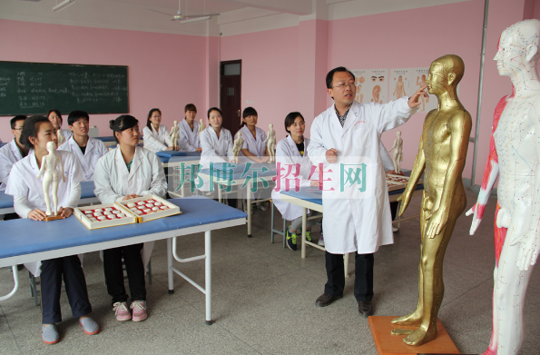 成都中医学多少钱