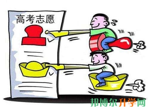 高考志愿怎么报
