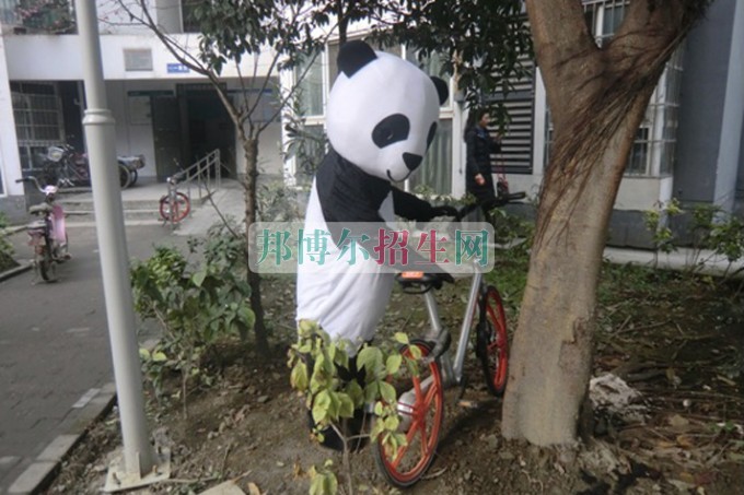 天府新区成人中等专业学校文明活动