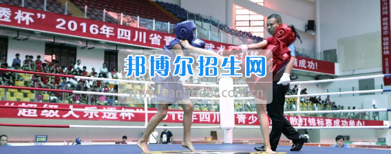 广安市康泉文武学校李康泉讲武术与艺术
