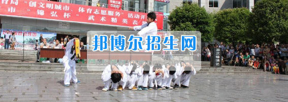 广安市康泉文武学校李康泉讲武术与艺术