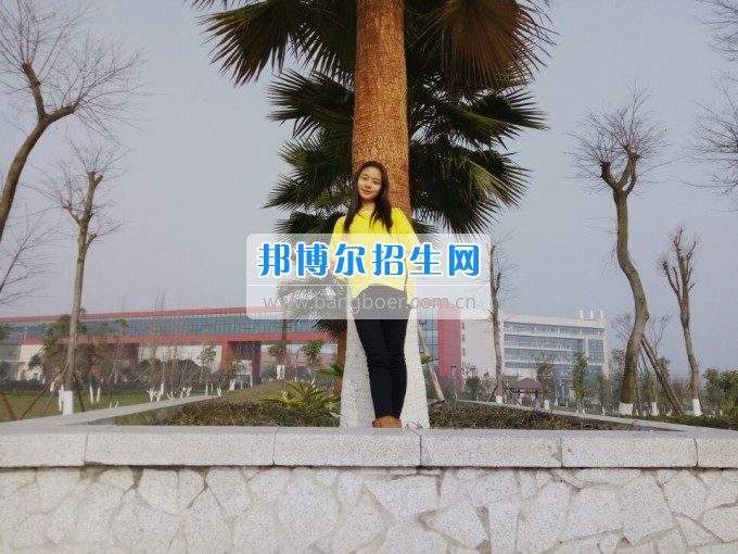 川南幼儿师范高等专科学校光荣榜