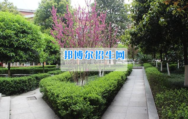 眉山科学技术学校2017年招生简章
