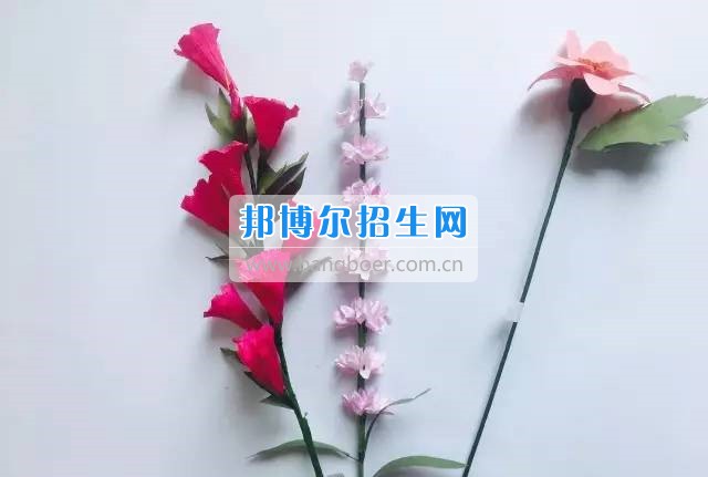 学前起航--记忆校区学前教育专业发展足迹