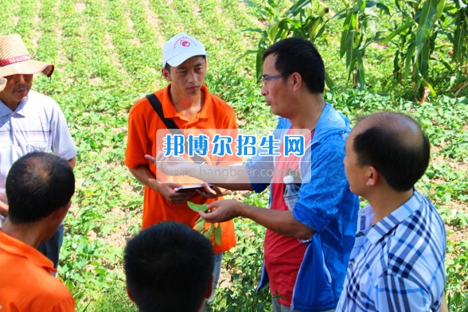 贵州师范大学求是学院领导携专家一行看望慰问学院赴德江暑期“三下乡”服务队