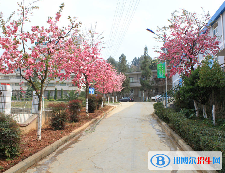 云南省林业高级技工学校招生办联系电话