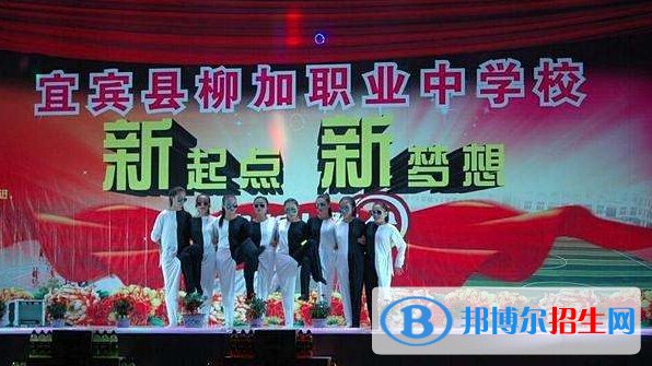 宜宾县柳加职业中学