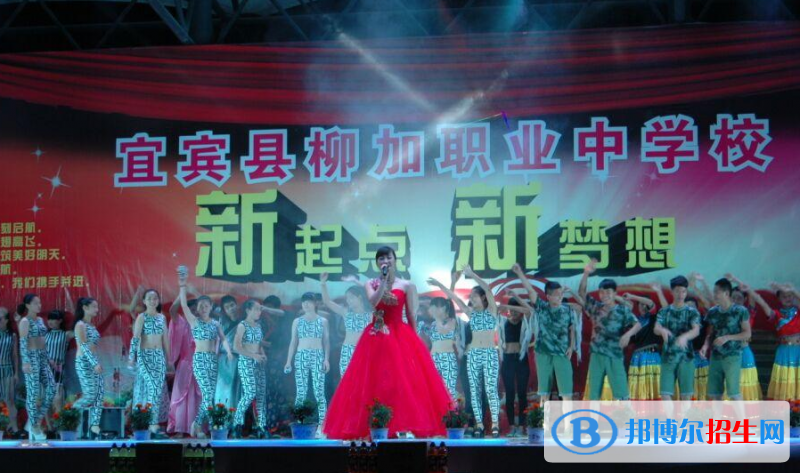 宜宾县柳加职业中学