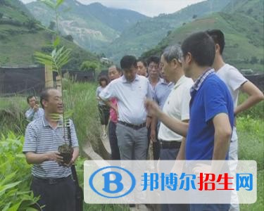 四川省乐山市竹根职业中专学校有哪些专业