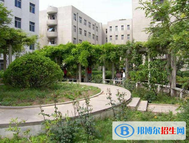 扶风县职业卫生学校网站网址