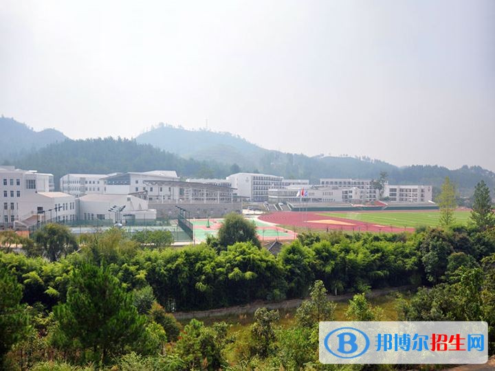 贵州盛华职业学院2019年单招录取分数线
