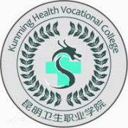 昆明卫生职业学院2019年单招录取分数线