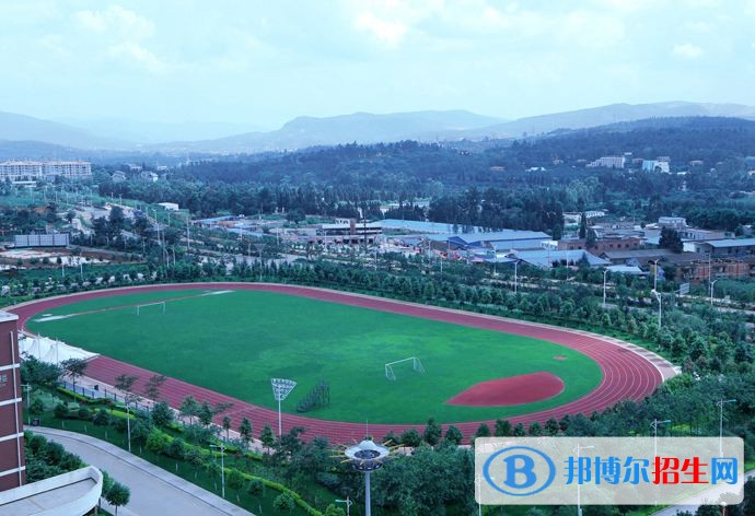 云南经济管理学院2019年单招录取分数线