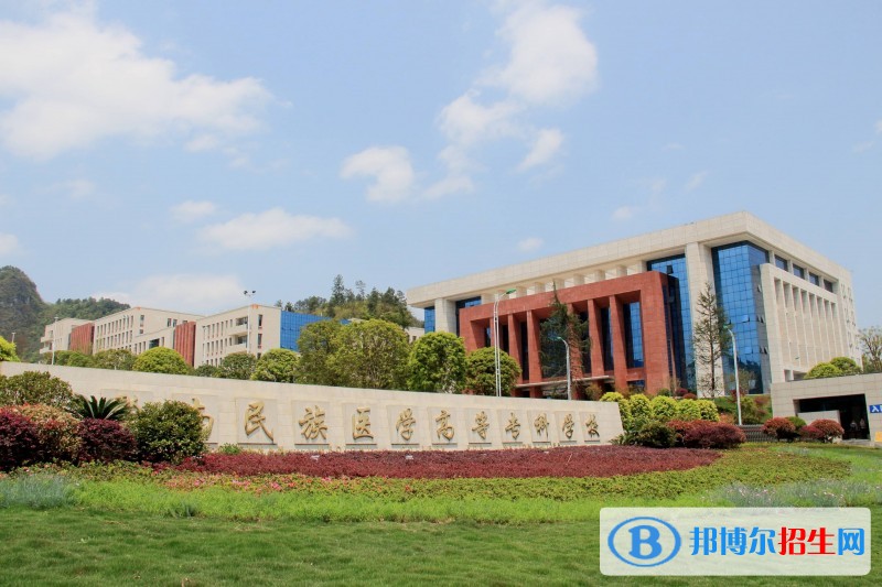 黔南民族医学高等专科学校单招报名条件