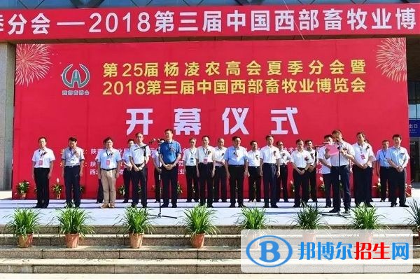 甘肃畜牧工程职业技术学院2019年单招录取分数线