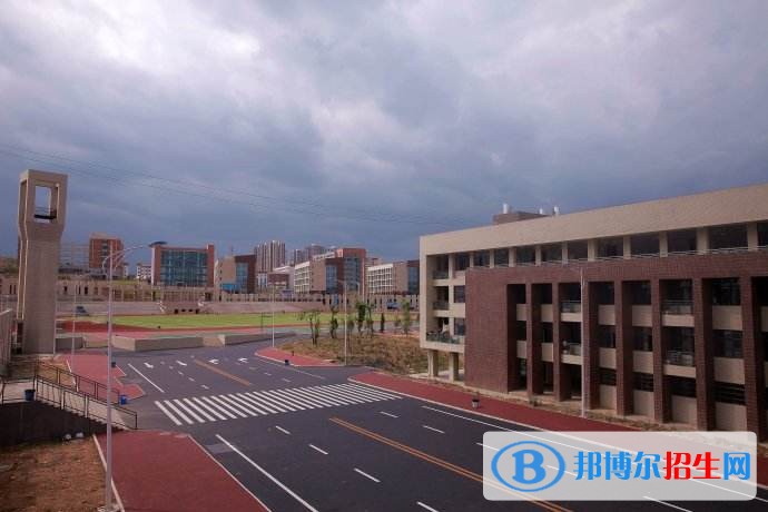 山东中医药高等专科学校2019年单招录取分数线