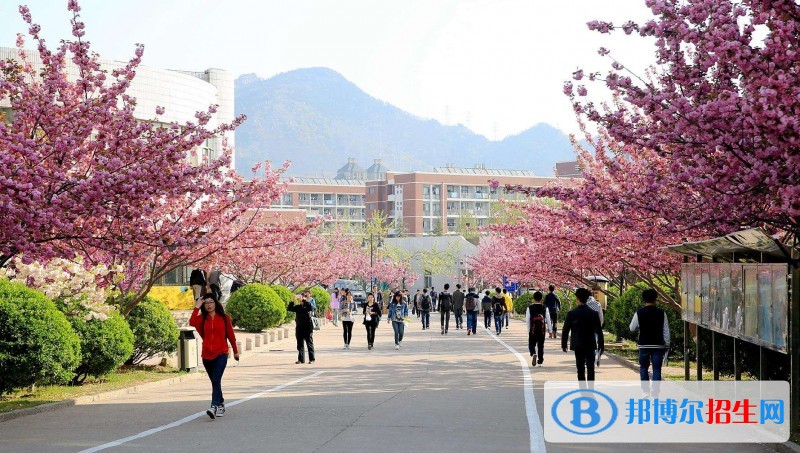 山东外贸职业学院单招报名条件