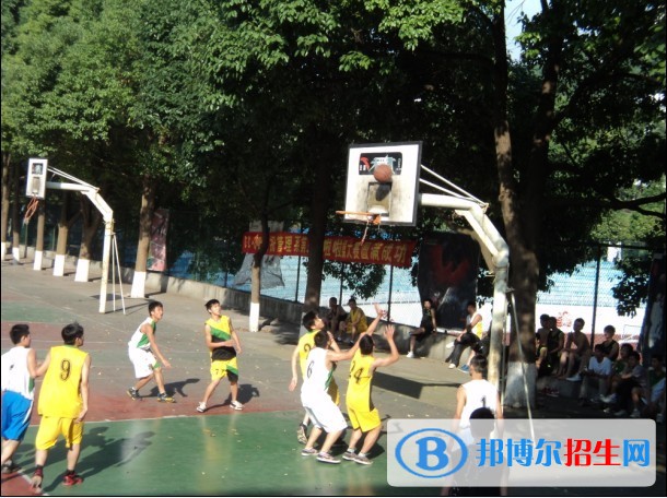 绵阳中专学校有用吗