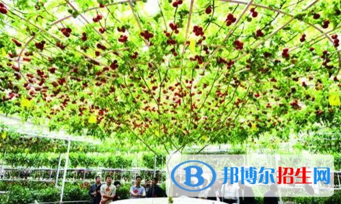 昆明读中专学校可以考大学吗