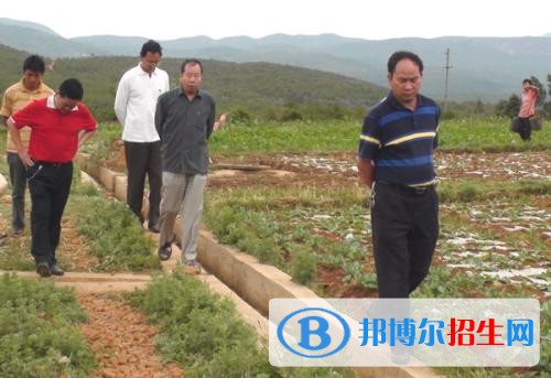 大理去读中专学校学什么对以后好一点