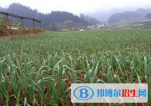大理女生学什么中专学校好