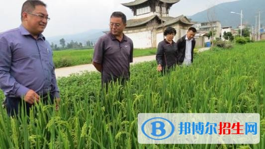 大理没有高中毕业证可以读中专学校吗