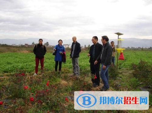 大理中专学校是大专吗