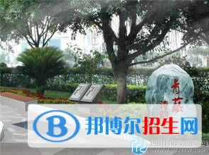 成都市第十七中学2022年招生代码