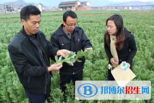 大理中专学校有哪些专业