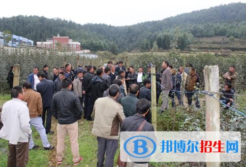 曲靖中专学校是什么