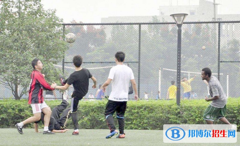 中专学校读出来是什么文凭