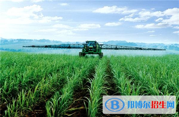 红河中专学校好不好
