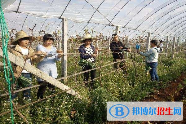 红河什么是中专学校
