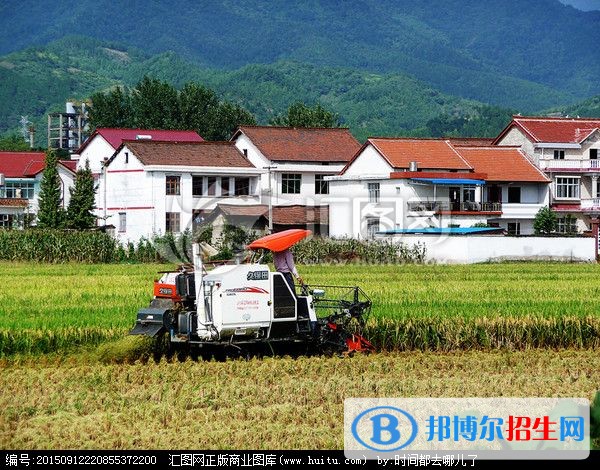 红河什么中专学校就业比较好