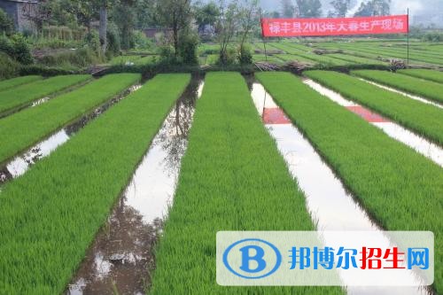楚雄女生读高中好还是中专学校