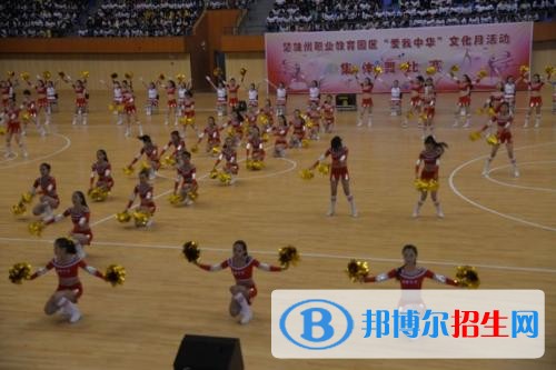 楚雄读中专学校可以考大学吗