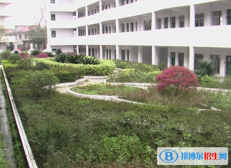 红河初中毕业可以读中专学校吗