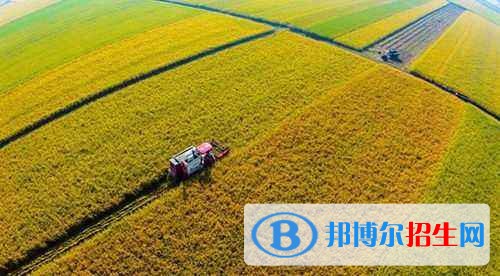 红河初中毕业能上中专学校
