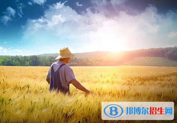 红河初中毕业能上中专学校吗